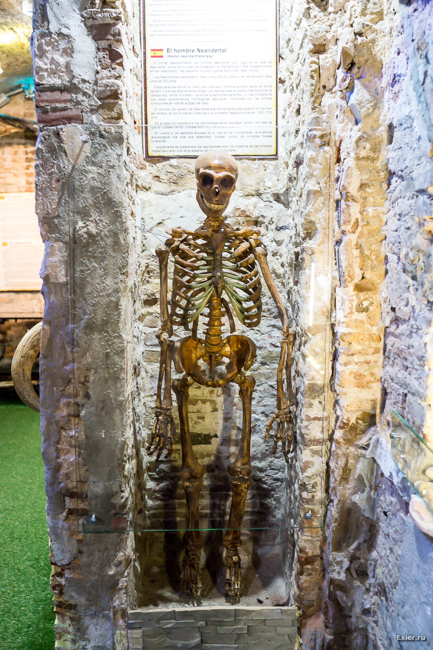  Музей Мамута в Барселоне 