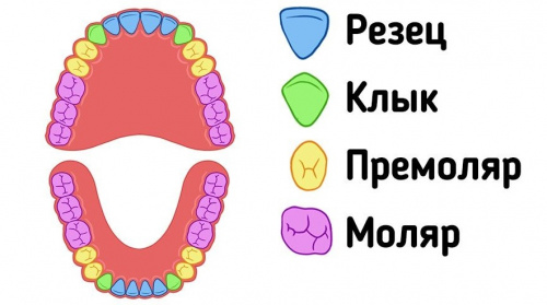 Пришел, увидел, удалил